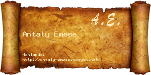 Antaly Emese névjegykártya